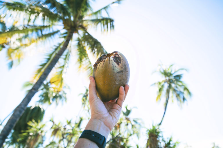 Wellness Roundup: 15 Most Amazing Benefits of Coconut Oil