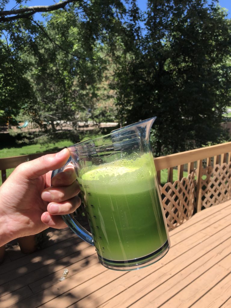 How Juicing Transformed My Health + Top 4 Recipes